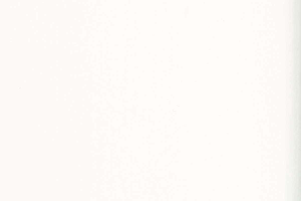 OSMO Garten- & Fassadenfarbe 7262 Reinweiß (RAL 9010), 2,5 Liter OSMO Garten- & Fassadenfarbe 7262 Reinweiß (RAL 9010), 2,5 Liter