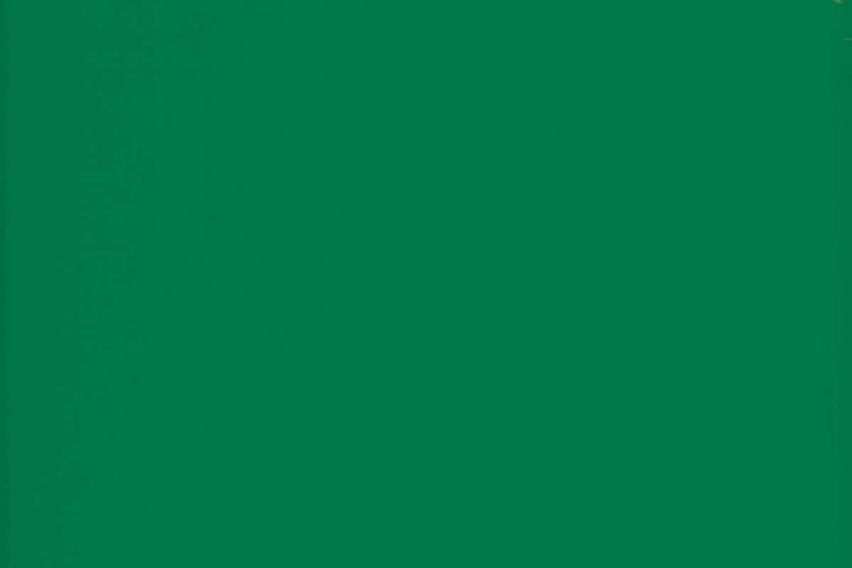 OSMO Garten- & Fassadenfarbe 7629 Minzgrün (RAL 6029), 0,75 Liter OSMO Garten- & Fassadenfarbe 7629 Minzgrün (RAL 6029), 0,75 Liter