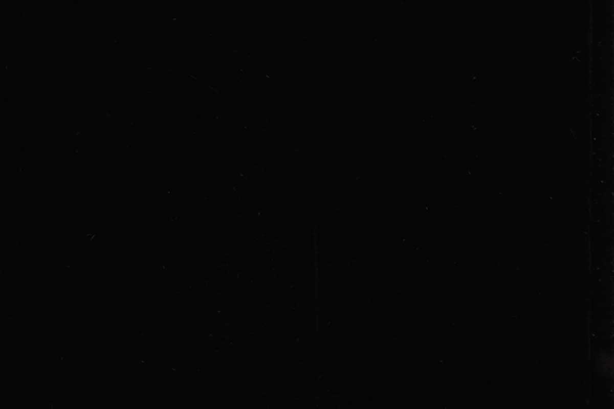 OSMO Garten- & Fassadenfarbe 7505 Tiefschwarz (RAL 9005), 2,5 Liter OSMO Garten- & Fassadenfarbe 7505 Tiefschwarz (RAL 9005), 2,5 Liter