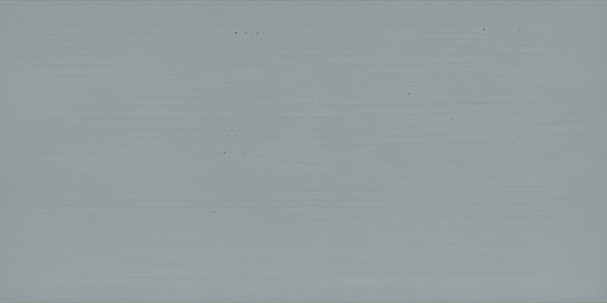 OSMO Landhausfarbe 2742 Verkehrsgrau A (RAL 7042), 2,5 Liter OSMO Landhausfarbe 2742 Verkehrsgrau A (RAL 7042), 2,5 Liter