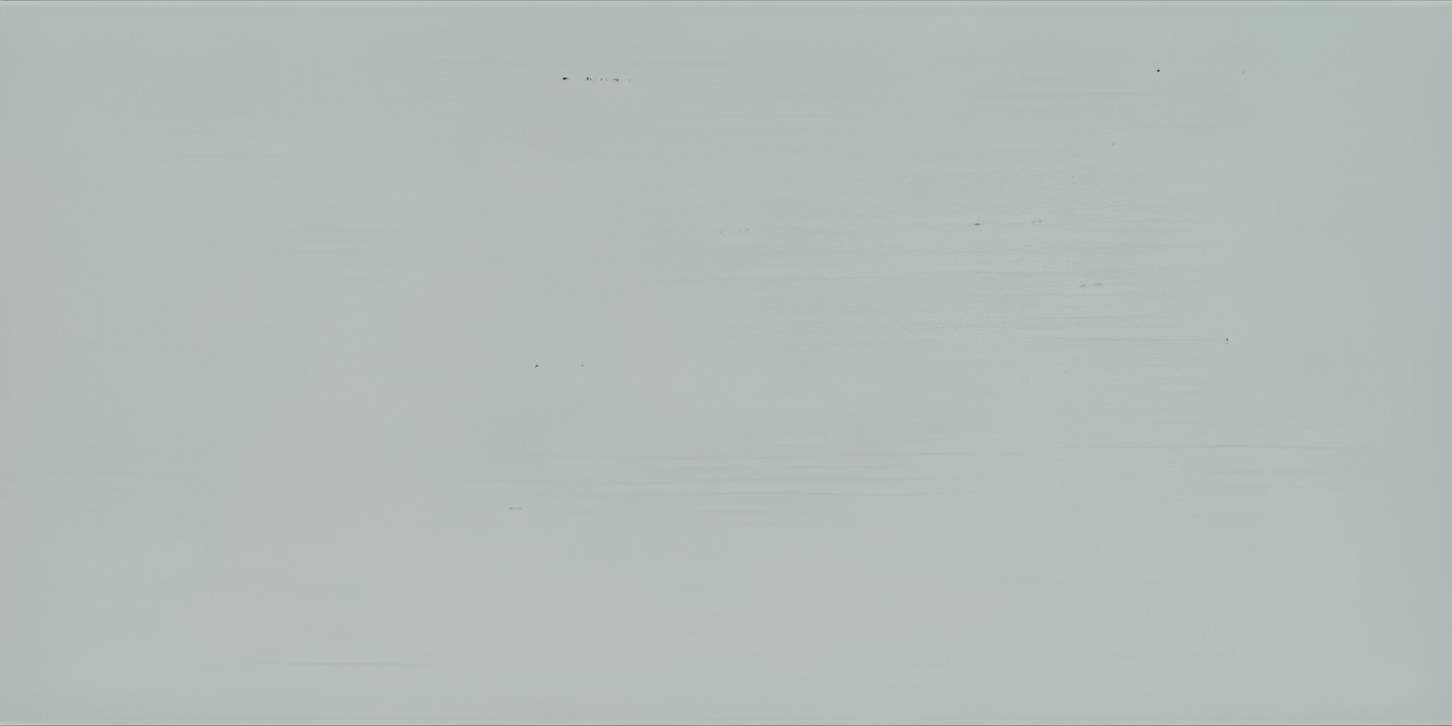 OSMO Landhausfarbe 2735 Lichtgrau (RAL 7035), 2,5 Liter OSMO Landhausfarbe 2735 Lichtgrau (RAL 7035), 2,5 Liter